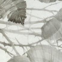 Leaves' Eyes, 70x100 cm - Copy.JPG