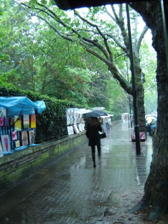 Rainy Sunday