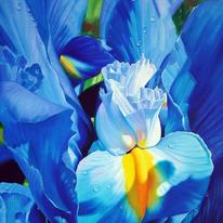 Gallery 88