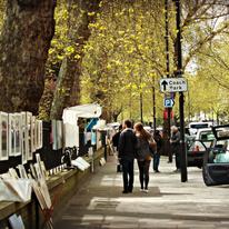 A leafy stroll on Bayswater Road