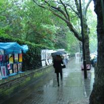 Rainy Sunday