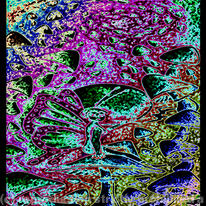 Psychedelic Fairy