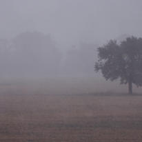 Thunder Storm