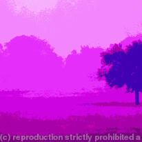 Poster 7