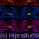 Four Wolves