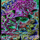 Psychedelic Fairy