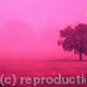 Pink Poster