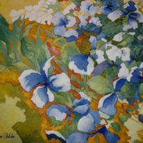 Irises