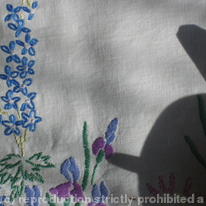 Cloth
