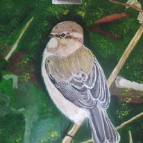 Image of bird