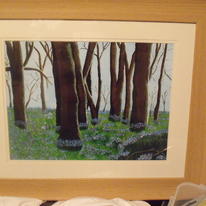 Blue Bells Forest.
