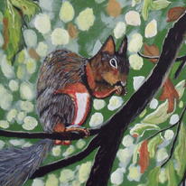 Image of red Squirrel.