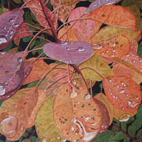 Autumn Leaves