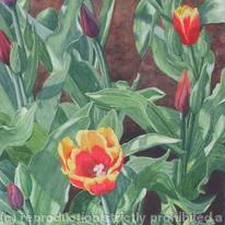 Early Spring