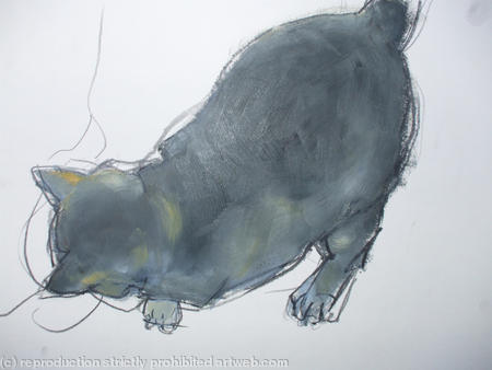 Cat Study II