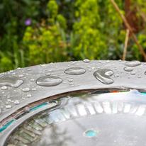 Detail of bird font commission.  Photo courtesy of Toby Leetham, 2010