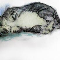 Rolling Cat Study
