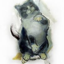Cat Study 5