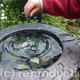 'Horseshoe' Bird Font… | (sold) | | Slate, beach glass, forged stainless steel and copper details 'Horseshoe' Bird Font…