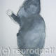 Cat Study 4