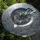 Treasure Fish bird bath
