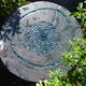Blue Pool: Feed, garden…