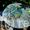 Garden furniture: Ammonite patio set