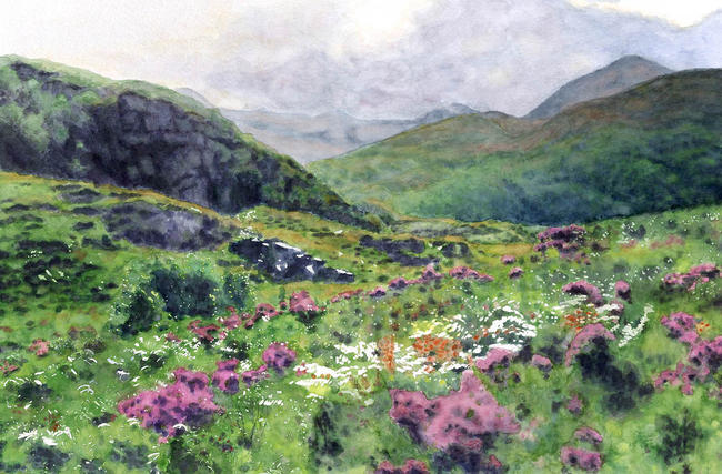 Highland Heather Giclée Watercolour Print 34x48cm