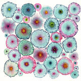 Blooms 6 Turquoise Ltd Edition - Giclée Canvas Print
