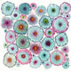 Blooms 6 Turquoise Ltd…