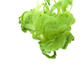 Green Ink.jpg