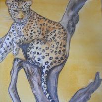The Resting Leopard
