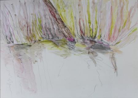 reeds
