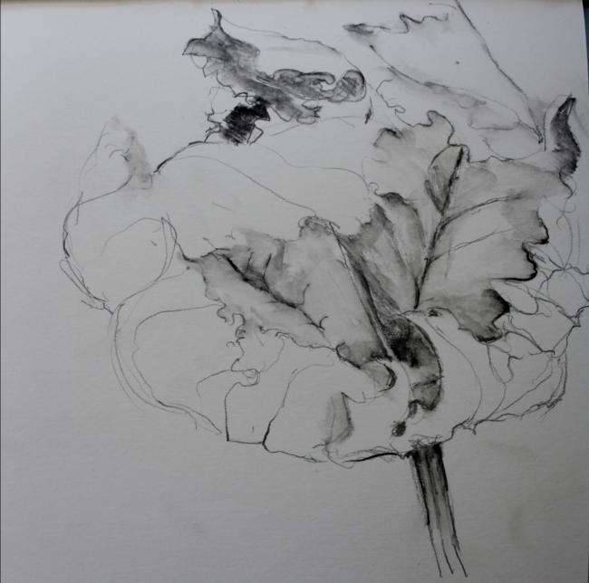 leaf
