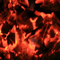 the heat of the moment