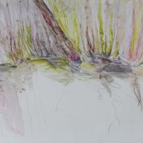 reeds