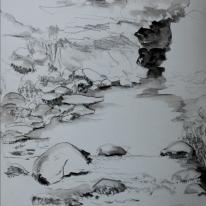 rocky cove