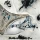 icebound
