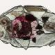 fossil fish