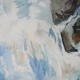 swallow falls