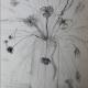 vase of flowers
