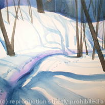 Snow shadows