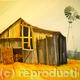 Carol's Barn