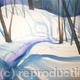 Snow shadows
