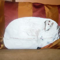 Hand Painted Cushion