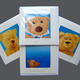 The Bears