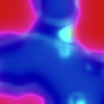 Torso