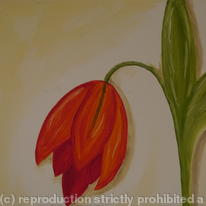 Tulip