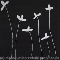 silver flowers