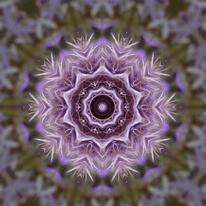 Kaleidoscoped Flower (Purple)